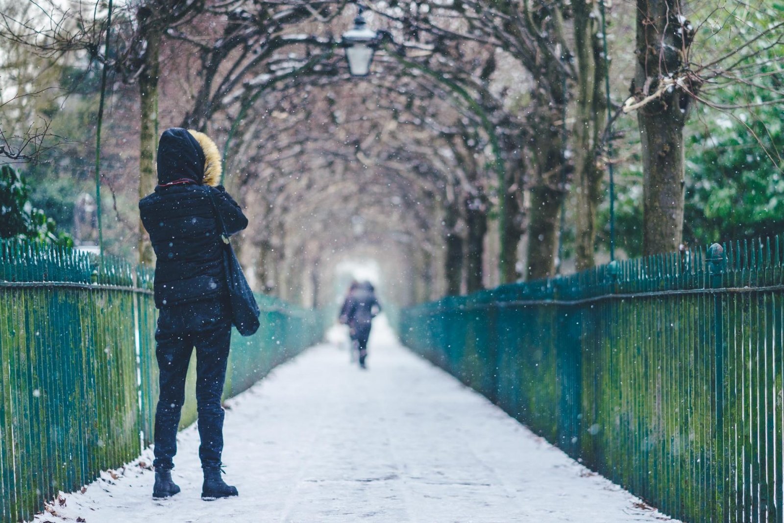 Birdcage Walk, Clifton. Photograph by Ivo Dukić.