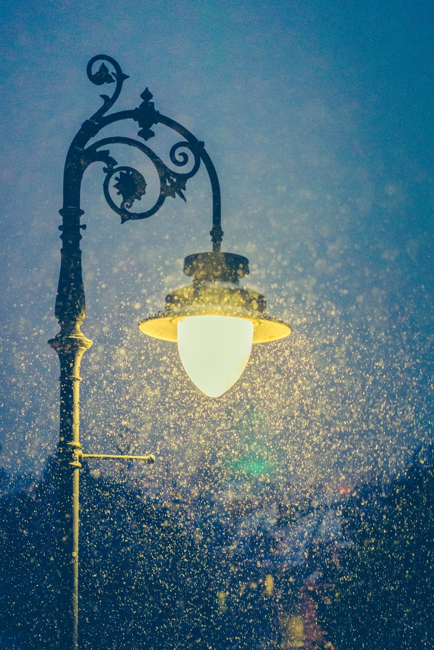 Light and Snow, Clifton. Photograph by Ivo Dukić.
