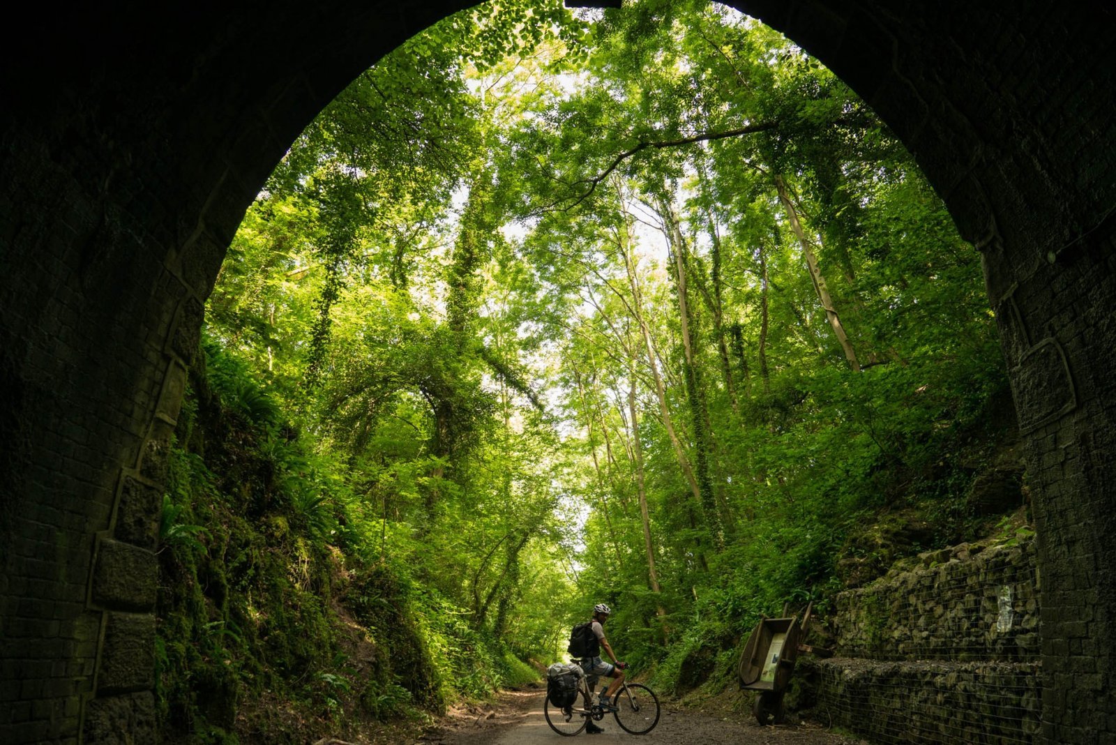 Cycle Home. Photograph by Ivo Dukić.