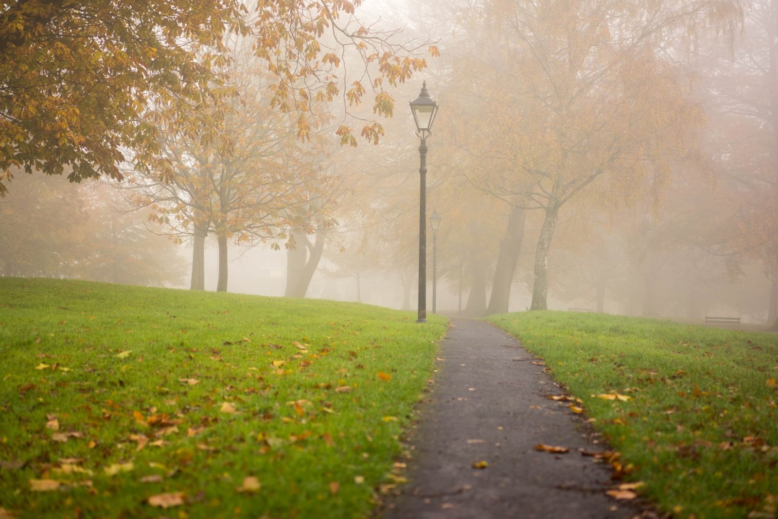 Autum in Clifton, Clifton Down Park, Clifton Village, Bristol. England. Photograph by Ivo Dukić.