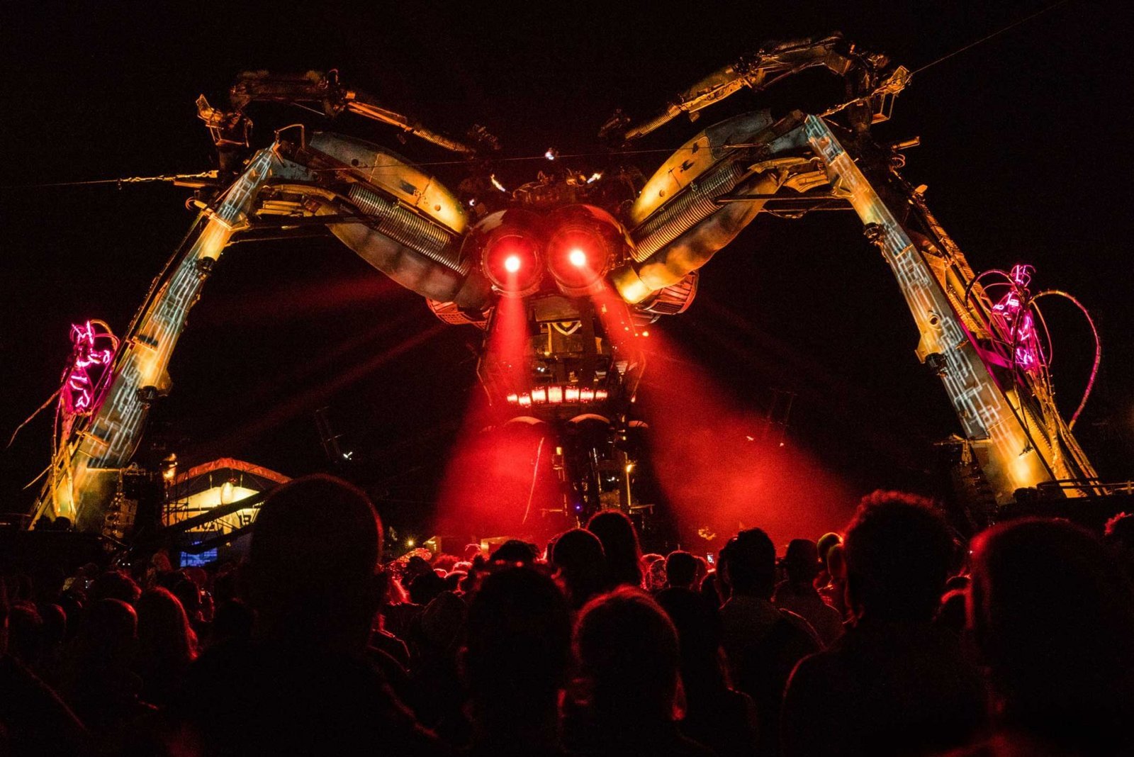 Arcadia Spider and a sea of people (ants). Worthy Farm, England. Photograph by Ivo Dukić.