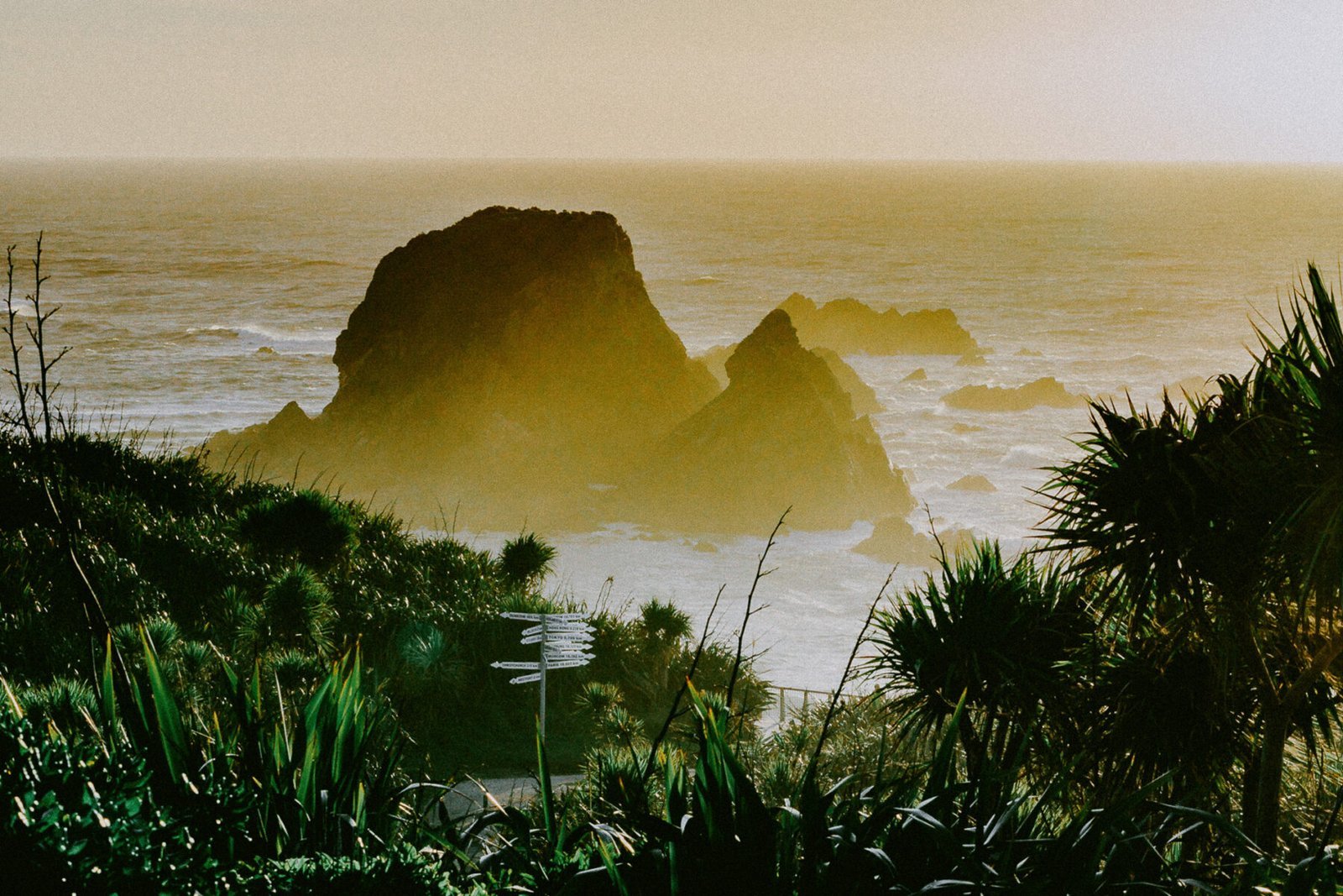 Tauranga Bay Mist, West Coast, South Island. New Zealand. Photograph by Ivo Dukić.