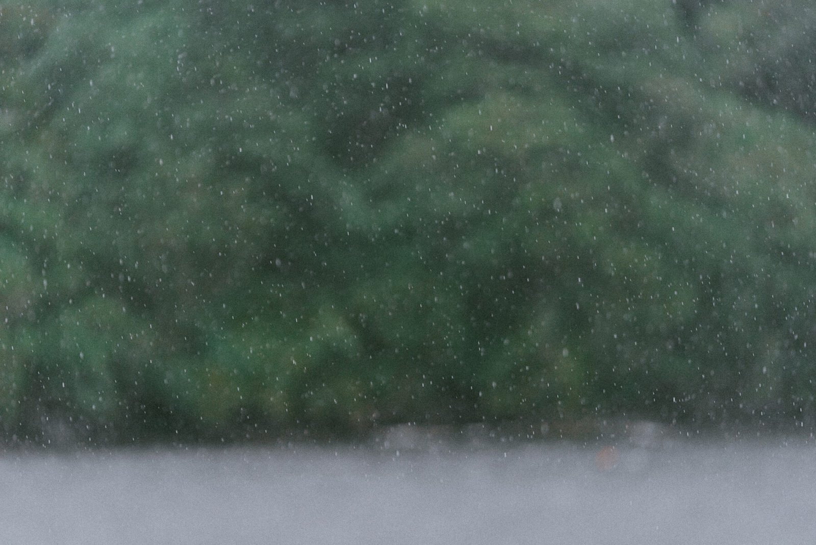 For rain, for rain, Doubtful Sound. New Zealand. Photograph by Ivo Dukić.