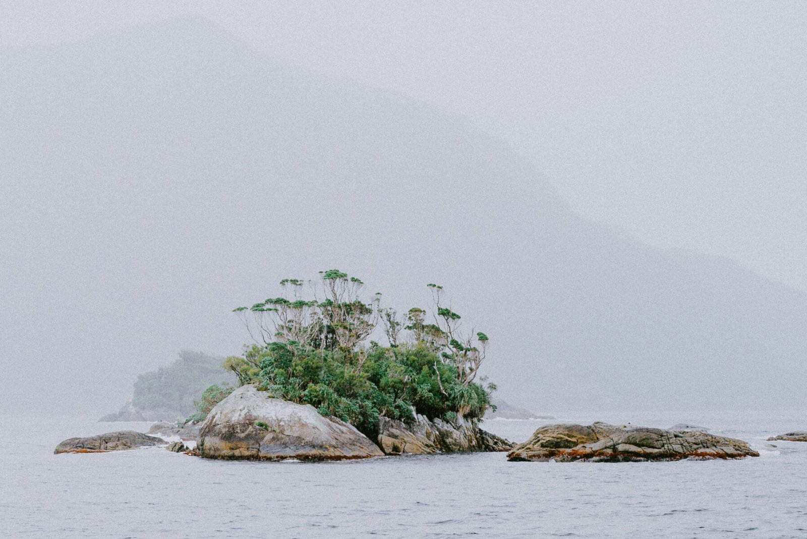 Islands on Doubtful Sound, South Islands, New Zealand. New Zealand. Photograph by Ivo Dukić.