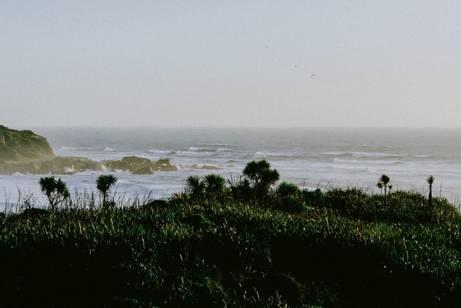 Tauranga Bay, West Coast. New Zealand. Photograph by Ivo Dukić.